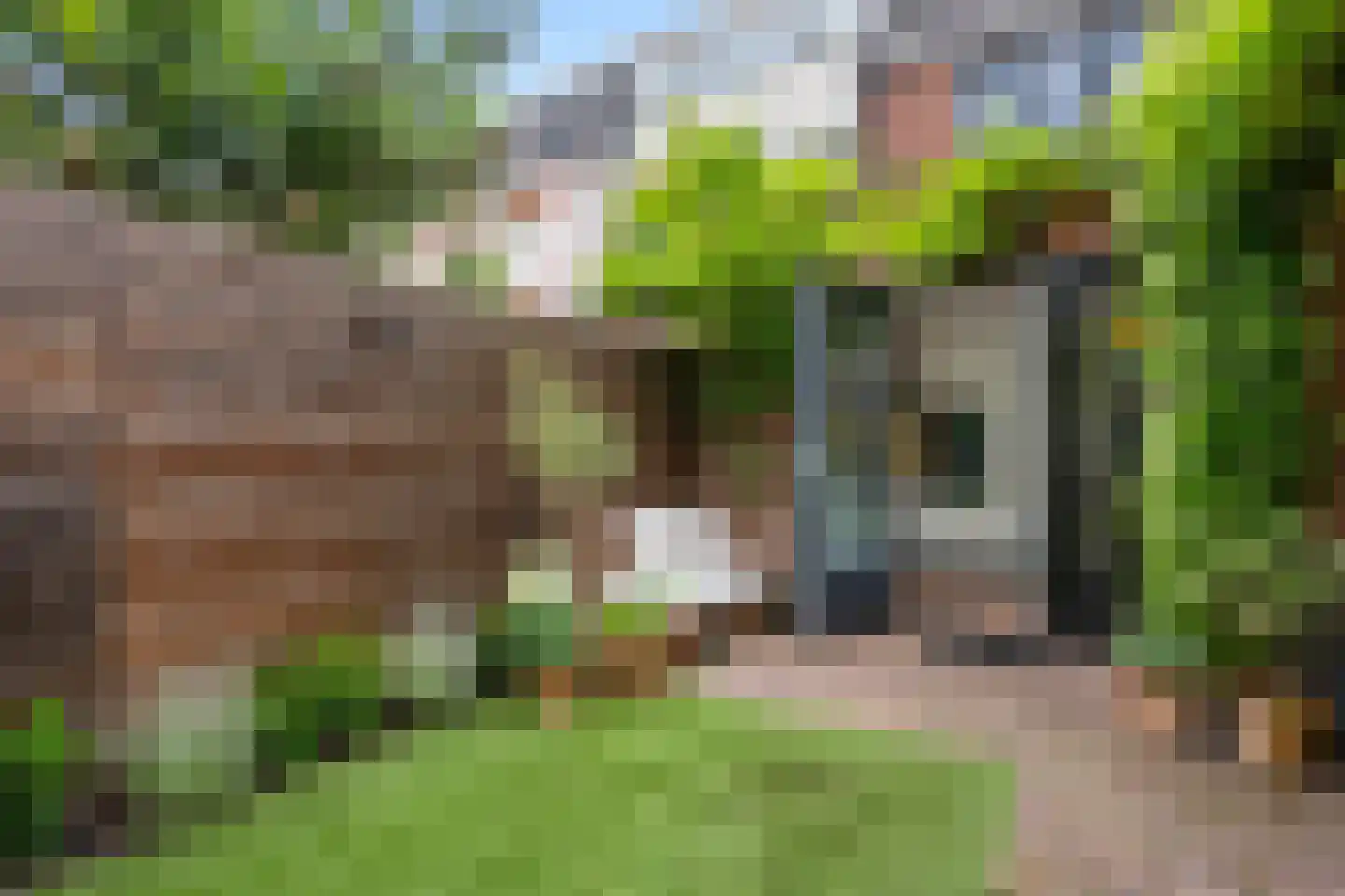 Lindestraat 9 Utrecht thumbnail 22