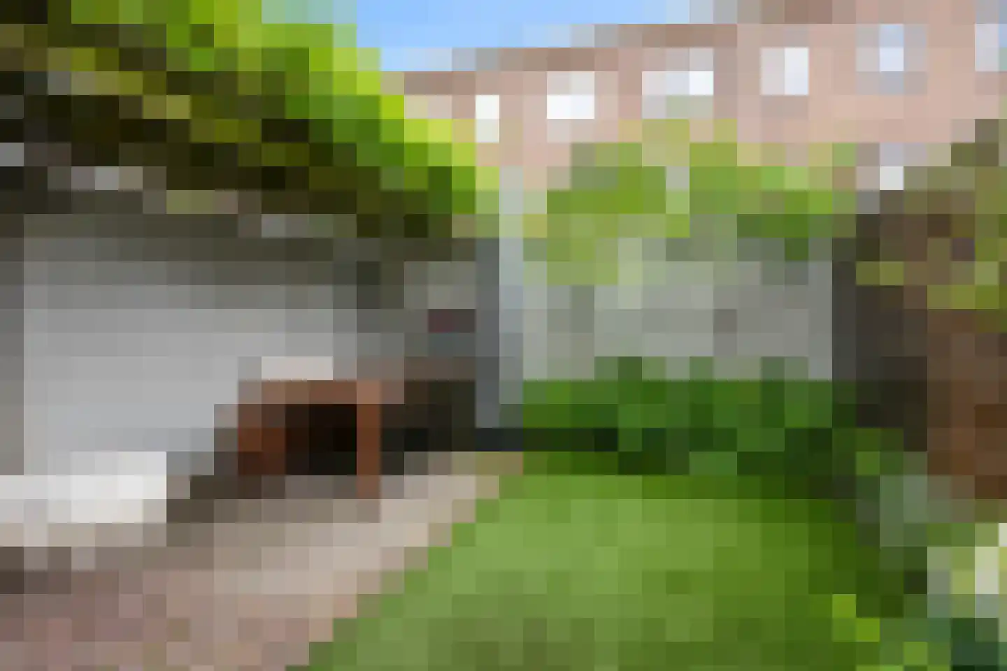Lindestraat 9 Utrecht thumbnail 23