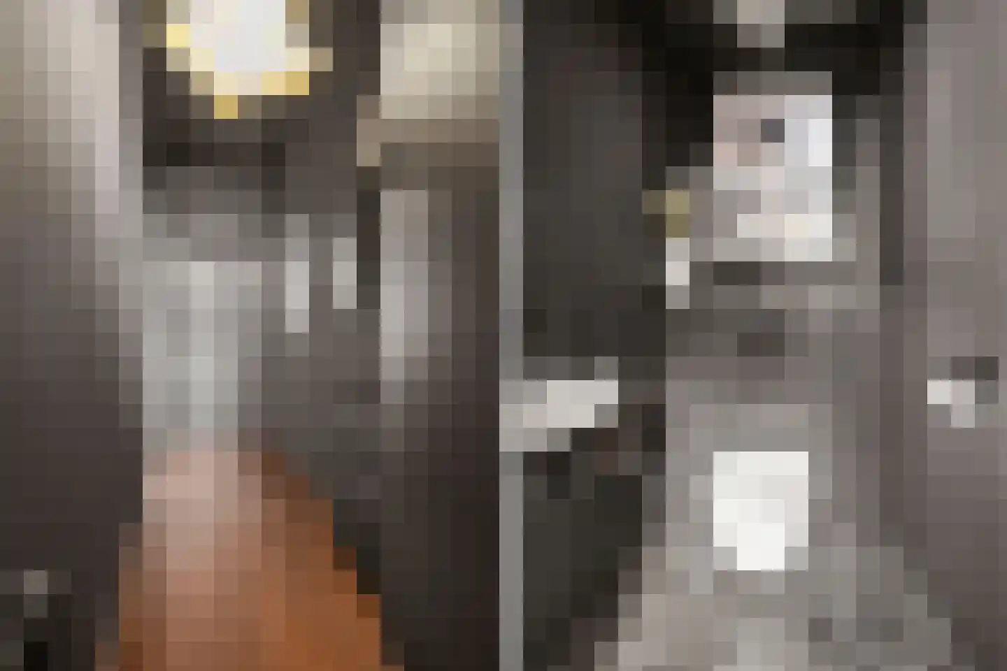 Lindestraat 9 Utrecht thumbnail 5