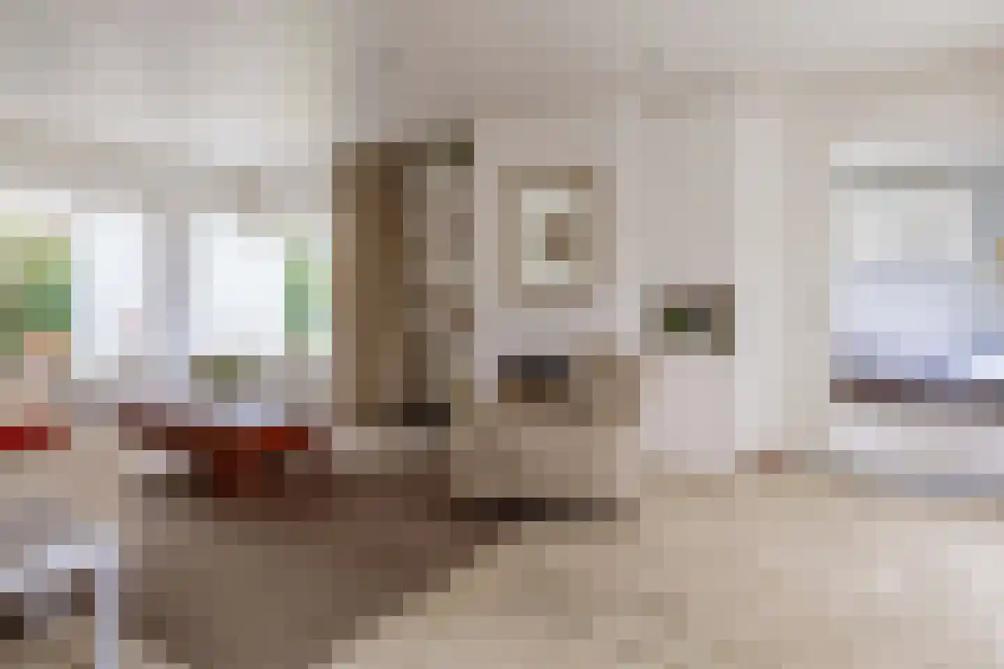 Lindestraat 93 Eersel thumbnail 12