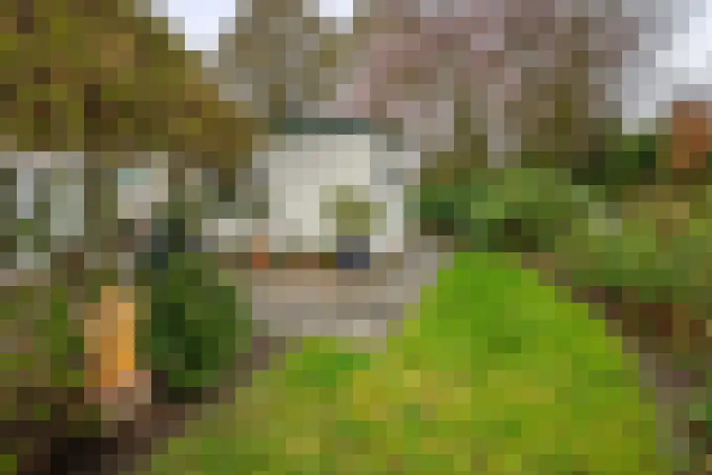 Lindestraat 93 Eersel thumbnail 37