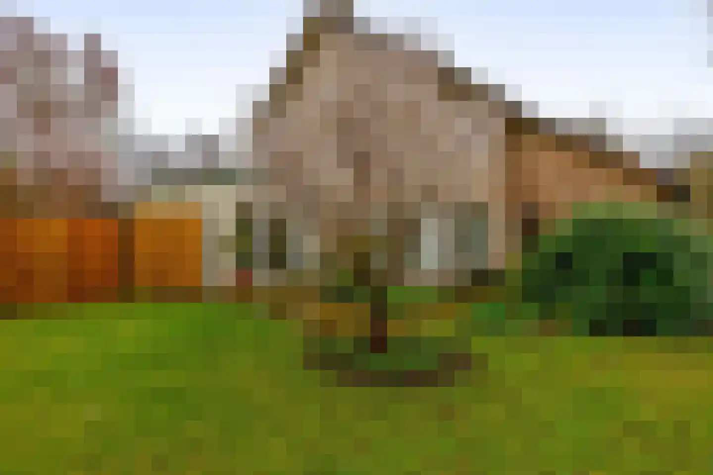 Lindestraat 93 Eersel thumbnail 38