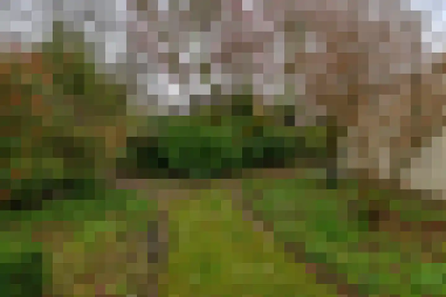 Lindestraat 93 Eersel thumbnail 40