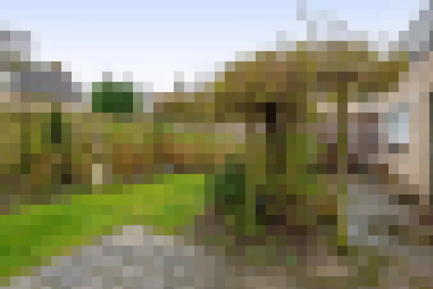 Lindestraat 93 Eersel thumbnail 41