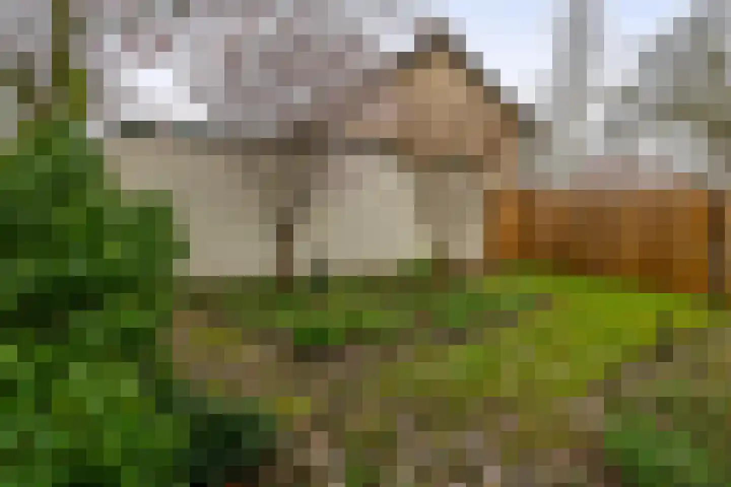Lindestraat 93 Eersel thumbnail 43