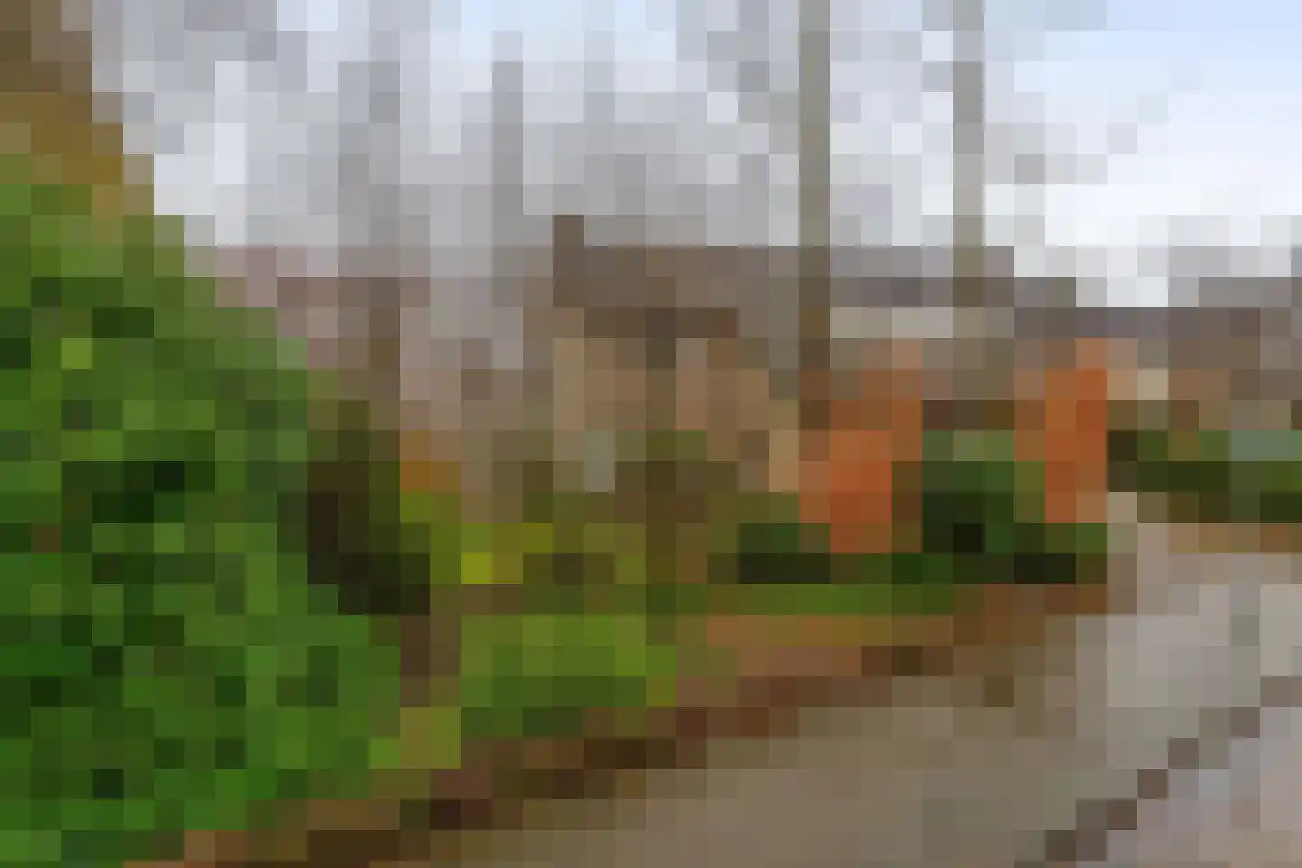 Lindestraat 93 Eersel thumbnail 45