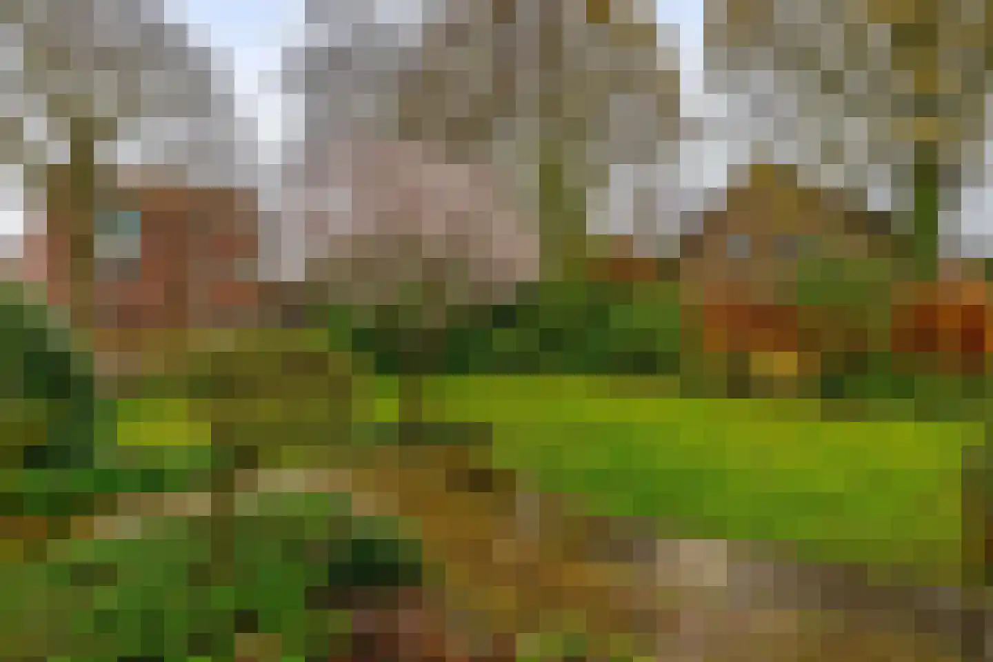 Lindestraat 93 Eersel thumbnail 5