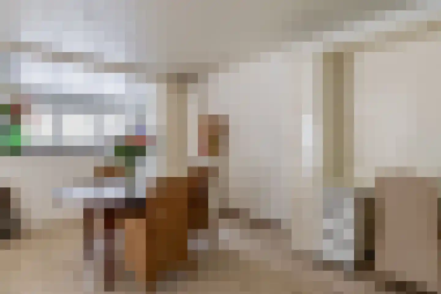 Lindestraat 93 Eersel thumbnail 9