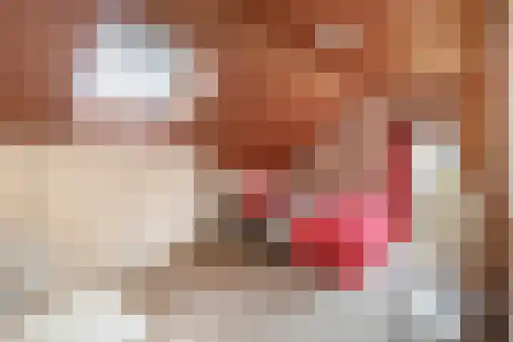 Lindestraat 99 Eersel thumbnail 19