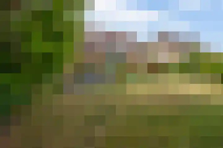 Lindestraat 99 Eersel thumbnail 25