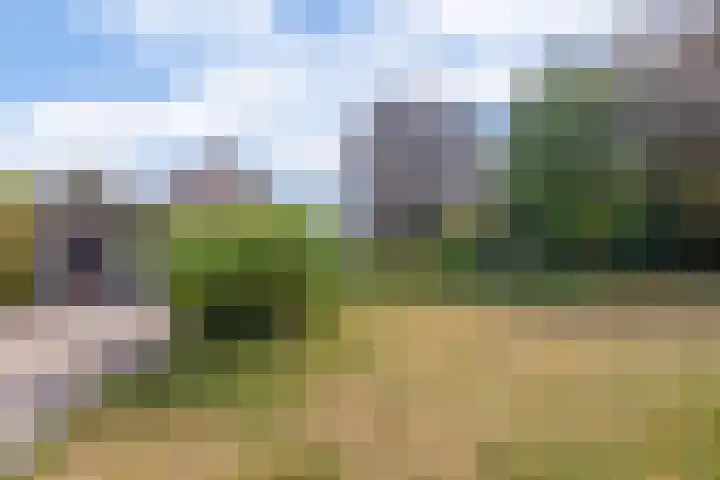 Lindestraat 99 Eersel thumbnail 27