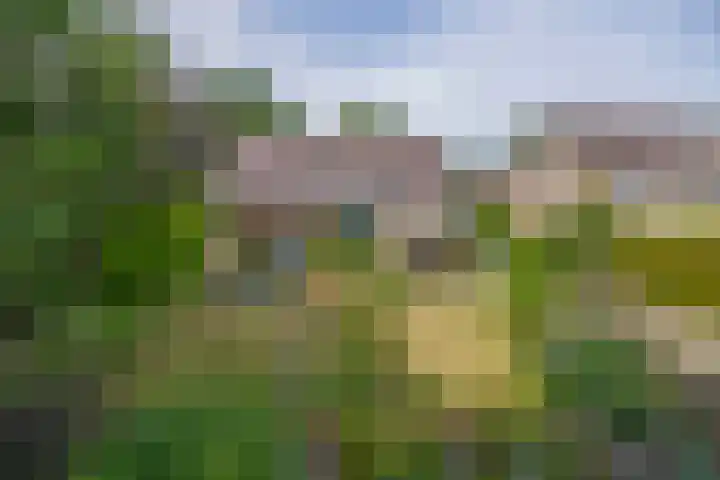 Lindestraat 99 Eersel thumbnail 28
