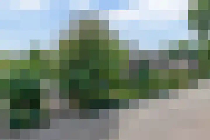 Lindestraat 99 Eersel thumbnail 33