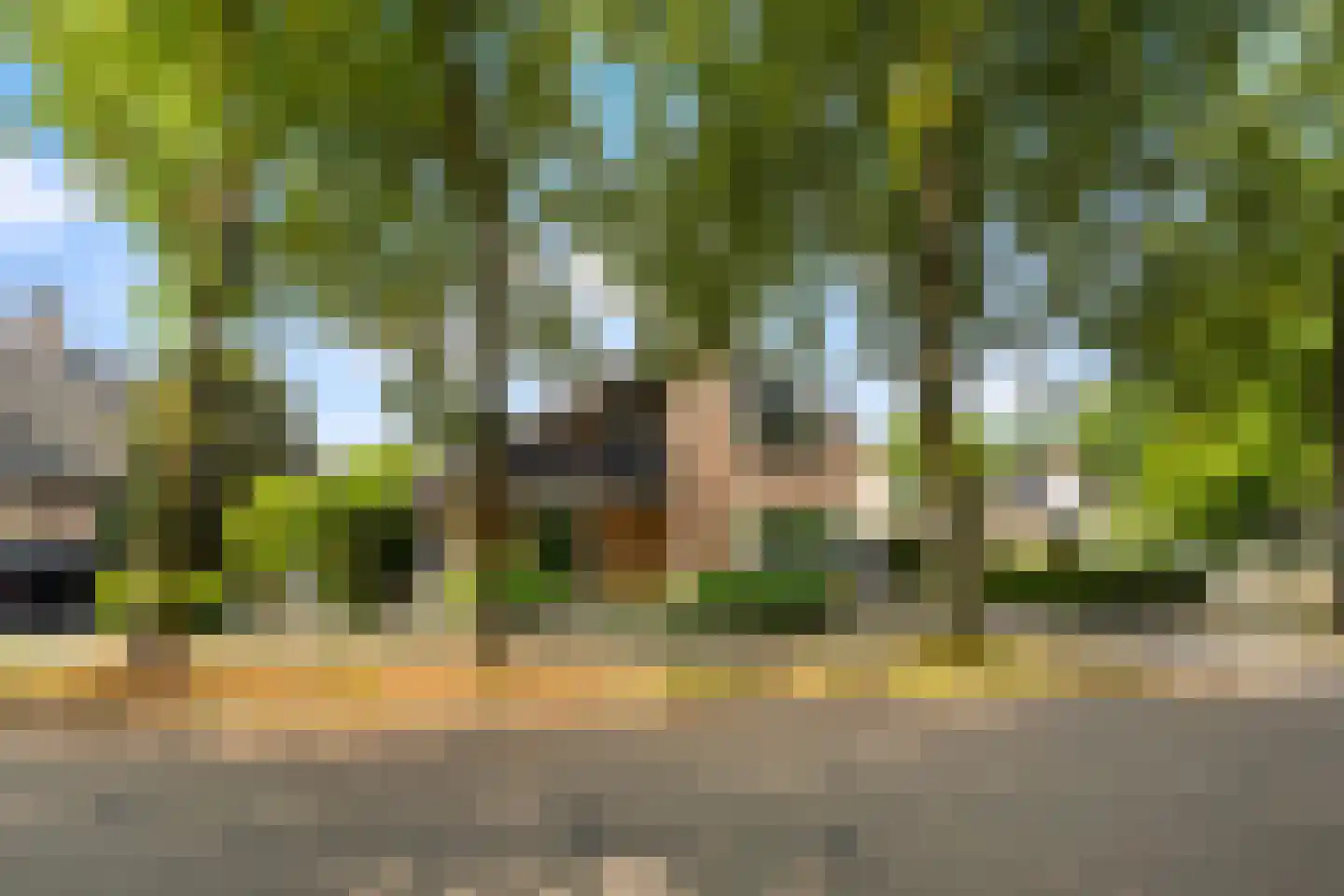 Lindeweg 10 Zwijndrecht thumbnail 4