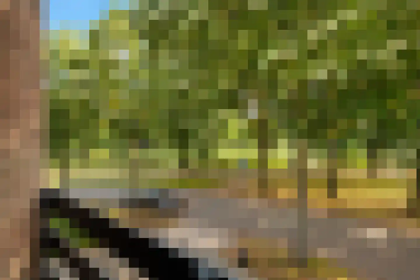 Lindeweg 10 Zwijndrecht thumbnail 51
