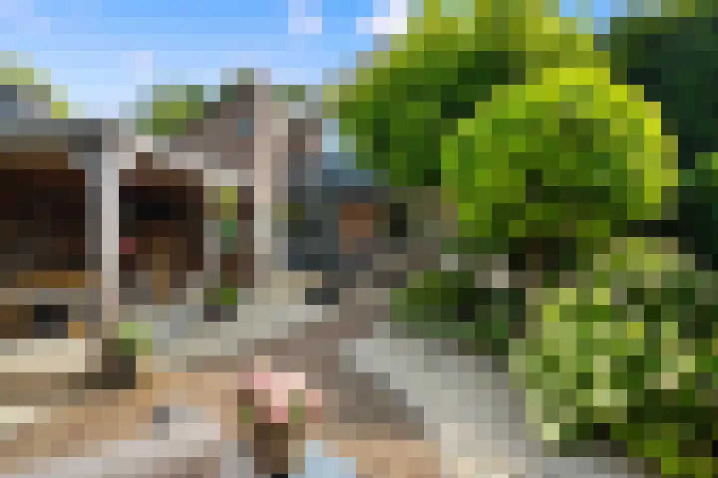 Lindeweg 10 Zwijndrecht thumbnail 63
