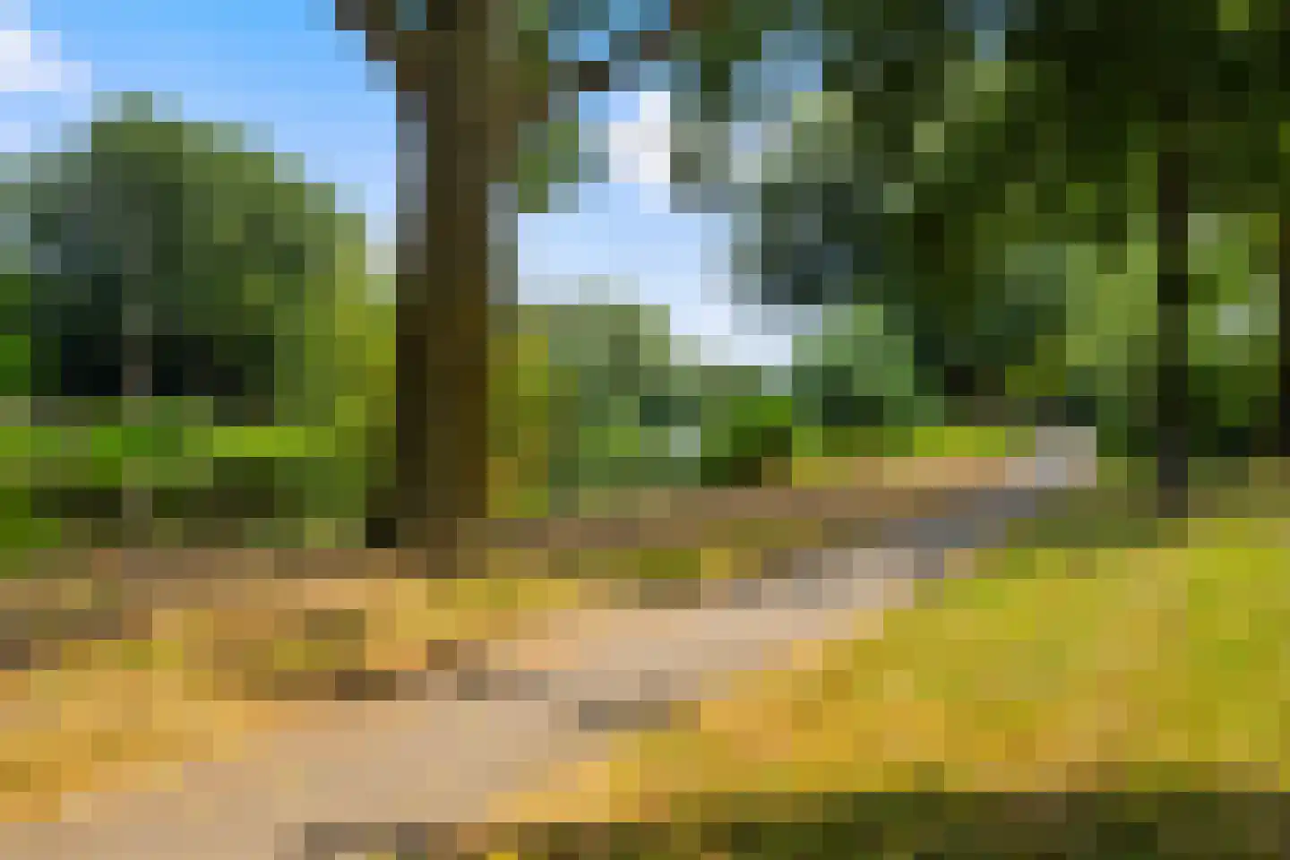 Lindeweg 10 Zwijndrecht thumbnail 7