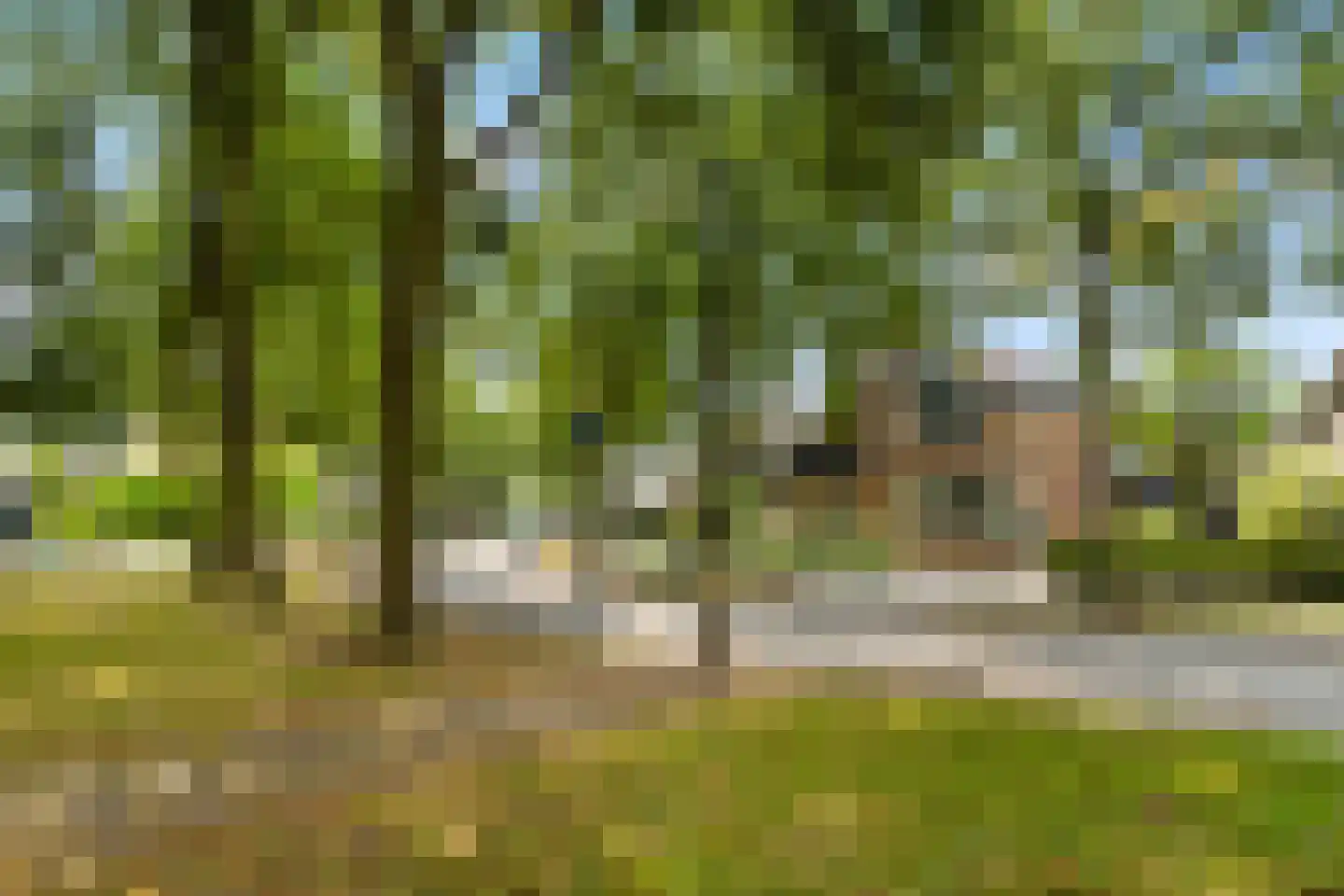 Lindeweg 10 Zwijndrecht thumbnail 8