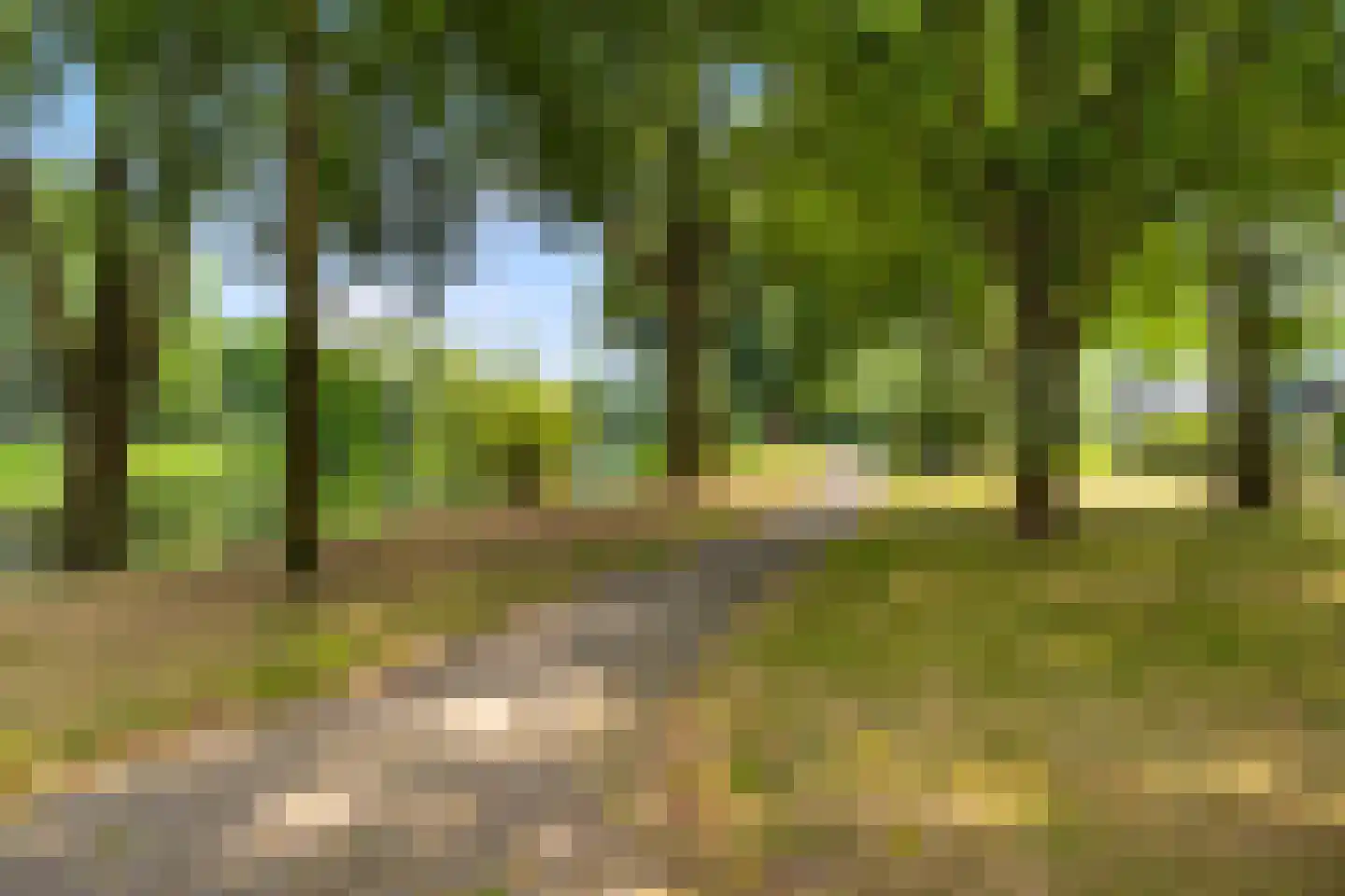 Lindeweg 10 Zwijndrecht thumbnail 9