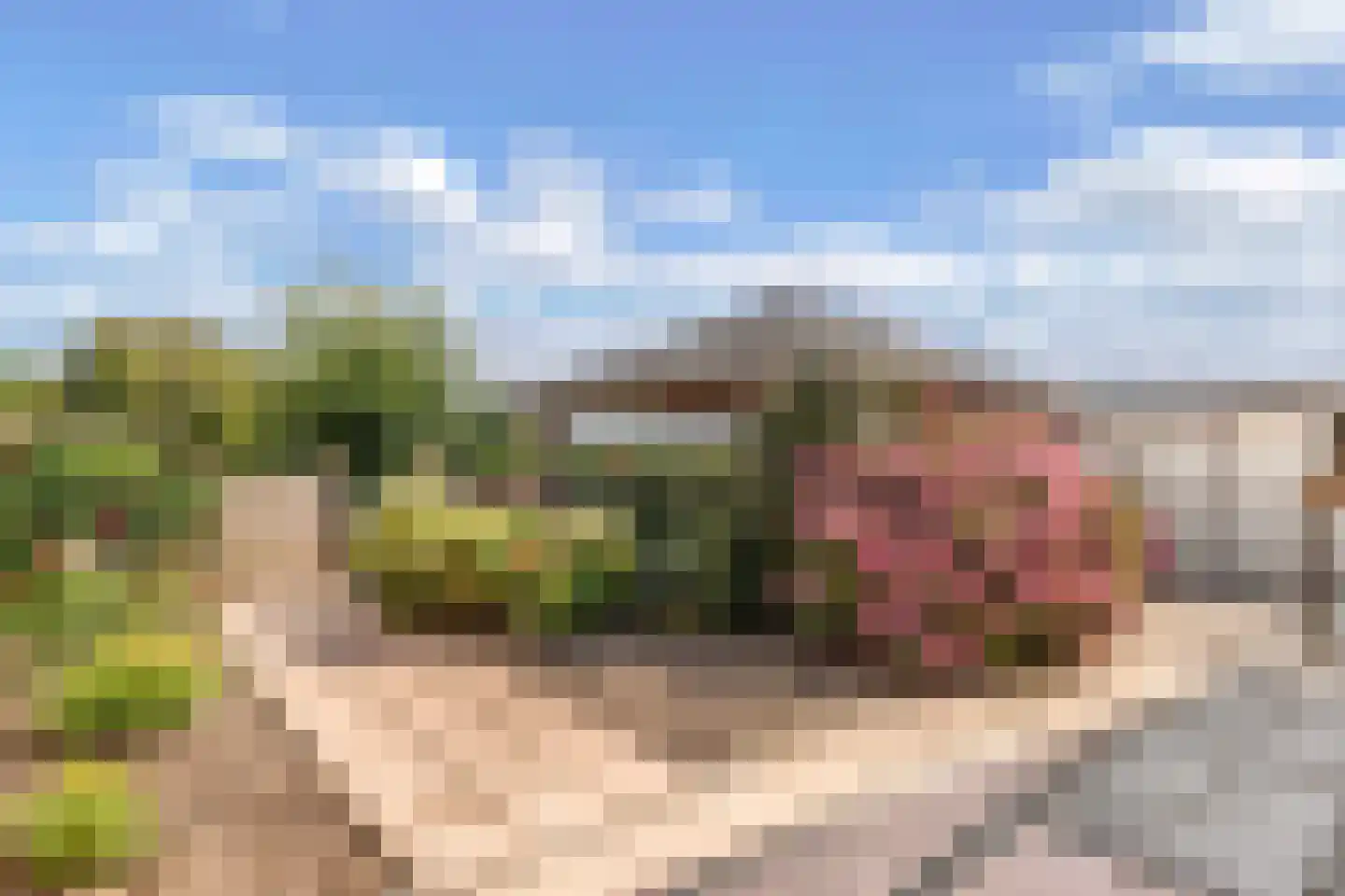 Lindeweg 18 A Luttelgeest thumbnail 42