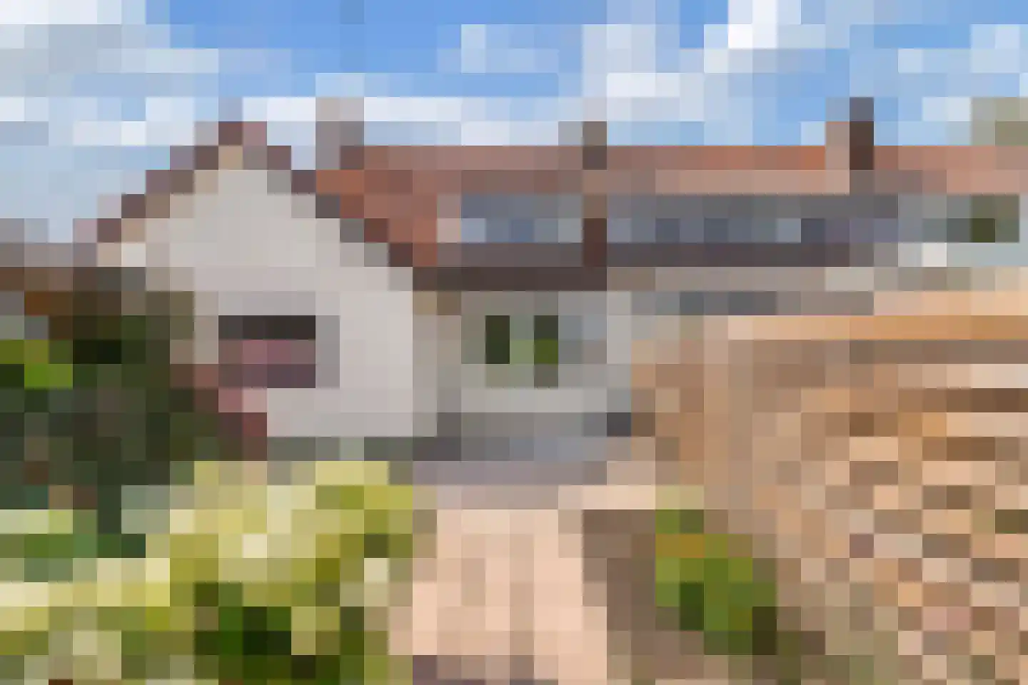 Lindeweg 18 A Luttelgeest thumbnail 43