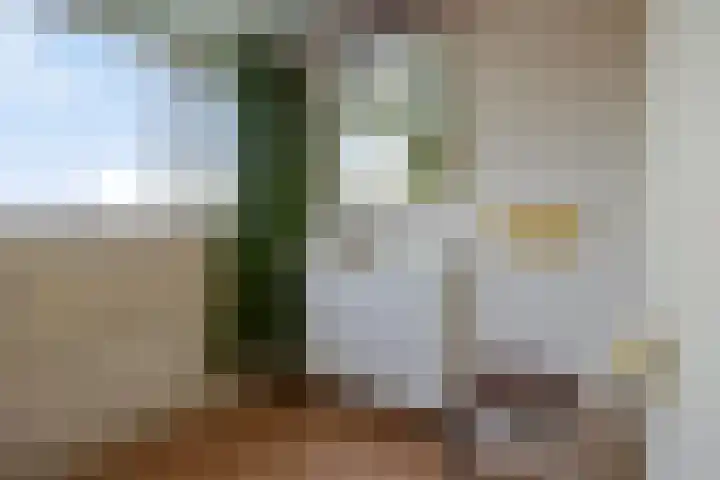 Lindeweg 18 C Luttelgeest thumbnail 27