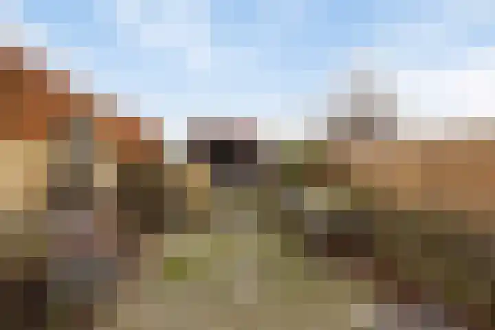 Lindeweg 18 C Luttelgeest thumbnail 31