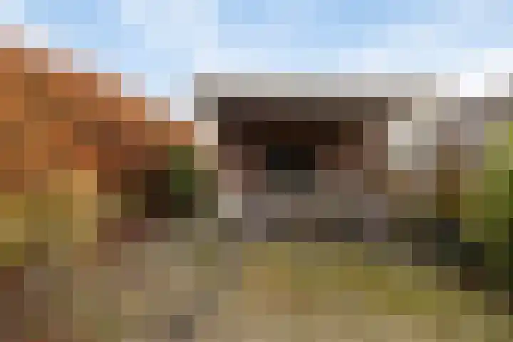 Lindeweg 18 C Luttelgeest thumbnail 34
