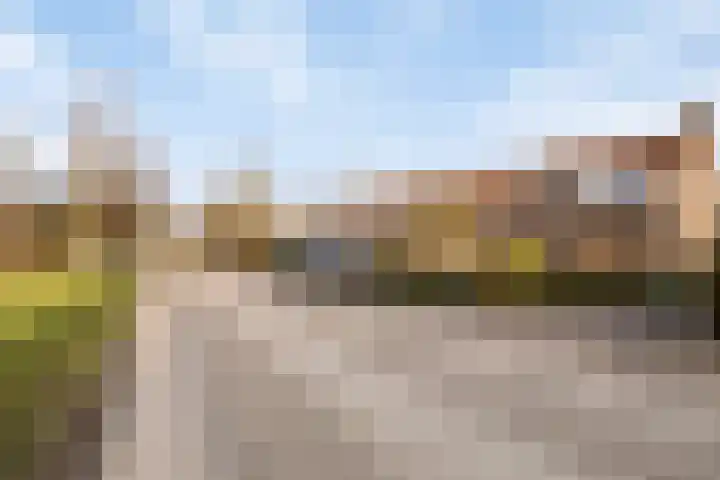 Lindeweg 18 C Luttelgeest thumbnail 39