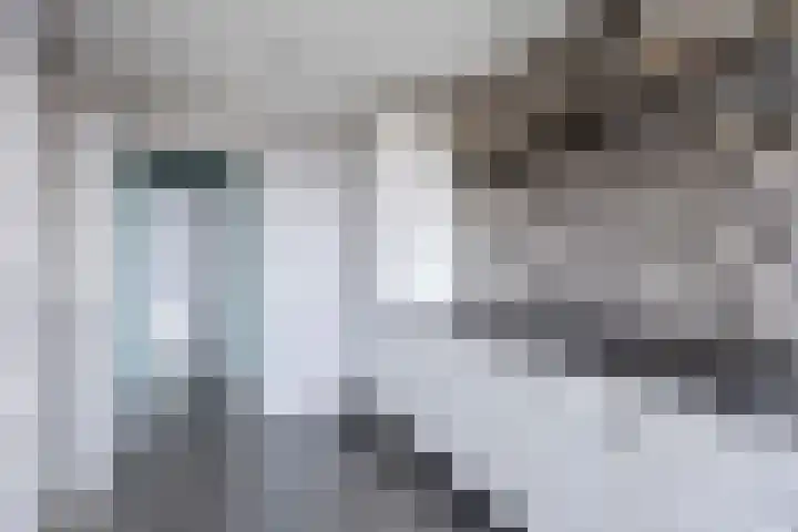 Lindeweg 18 C Luttelgeest thumbnail 7