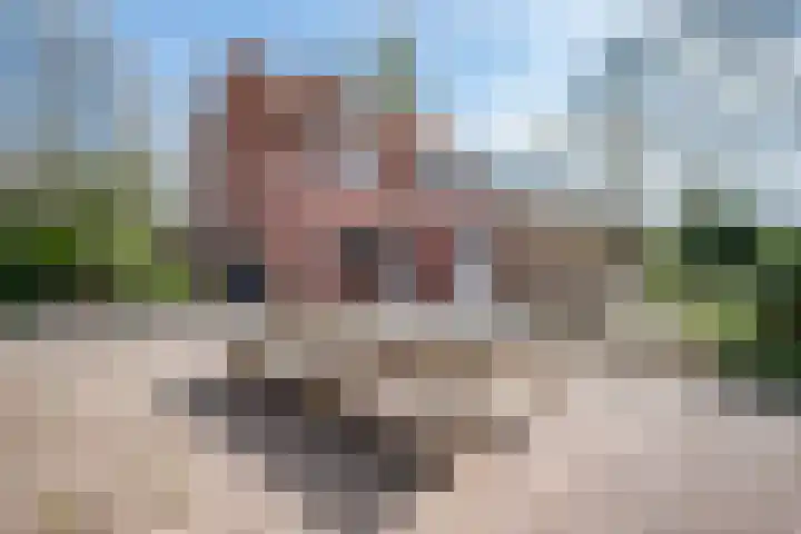 Lindeweg 21 Luttelgeest thumbnail 16