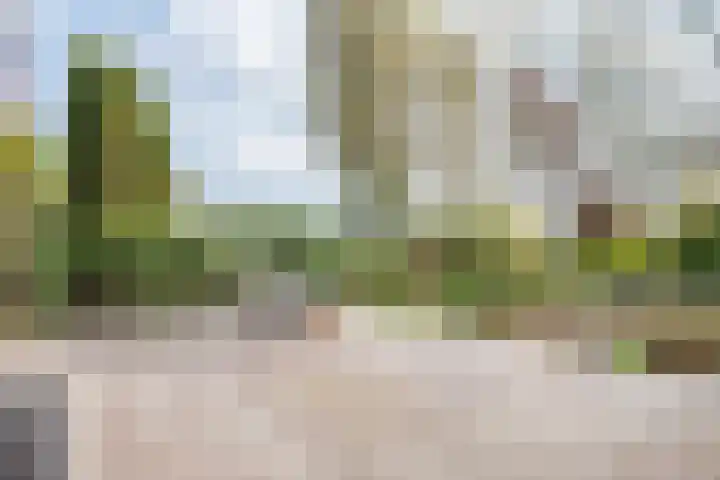 Lindeweg 21 Luttelgeest thumbnail 28