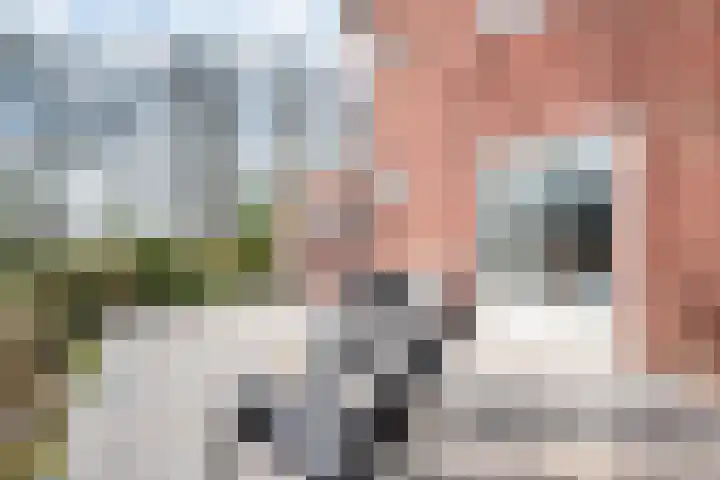 Lindeweg 21 Luttelgeest thumbnail 29