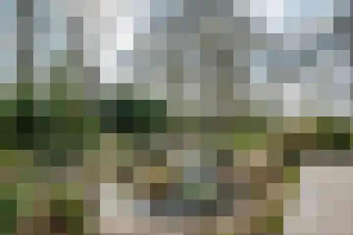 Lindeweg 21 Luttelgeest thumbnail 30