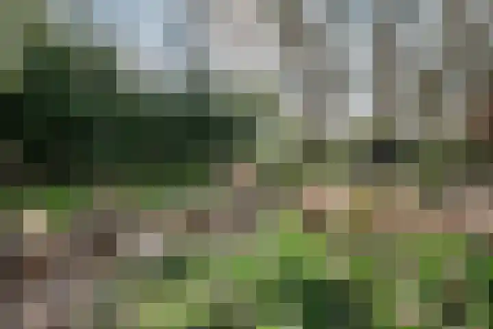 Lindeweg 21 Luttelgeest thumbnail 31