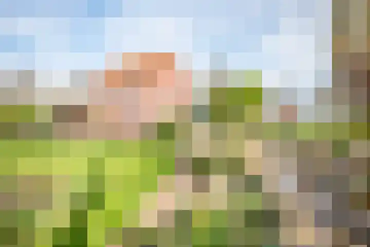 Lindeweg 21 Luttelgeest thumbnail 32