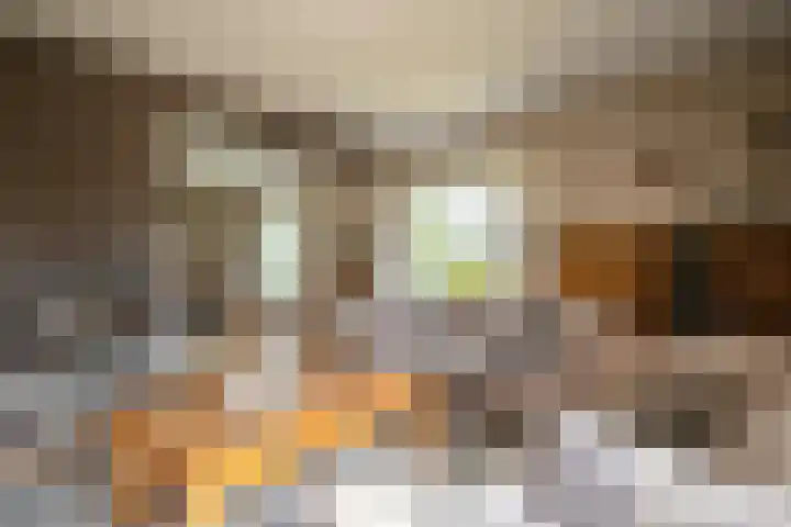 Lindeweg 21 Luttelgeest thumbnail 33