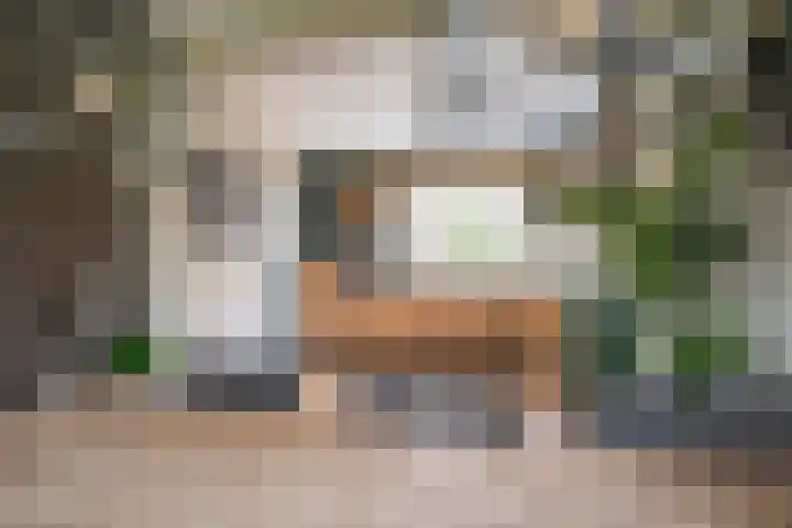 Lindeweg 21 Luttelgeest thumbnail 36