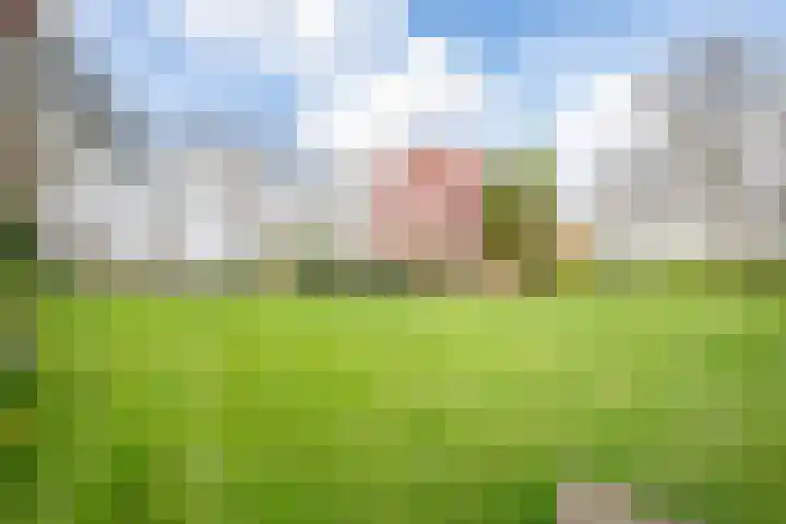Lindeweg 21 Luttelgeest thumbnail 5