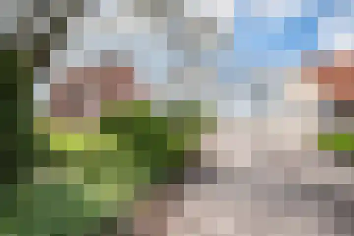Lindeweg 21 Luttelgeest thumbnail 6