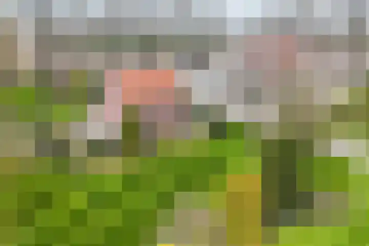 Lindeweg 21 Luttelgeest thumbnail 63