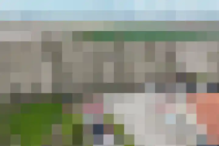 Lindeweg 21 Luttelgeest thumbnail 64
