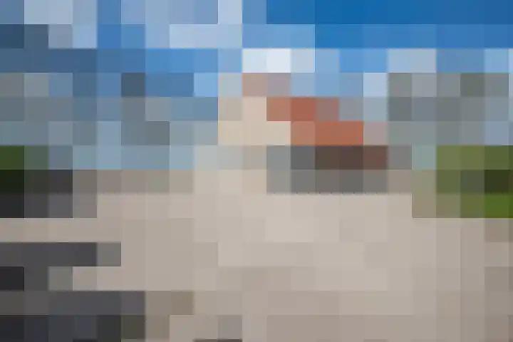 Lindeweg 21 Luttelgeest thumbnail 7