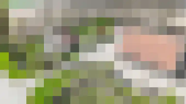 Lindeweg 21 Luttelgeest thumbnail 72