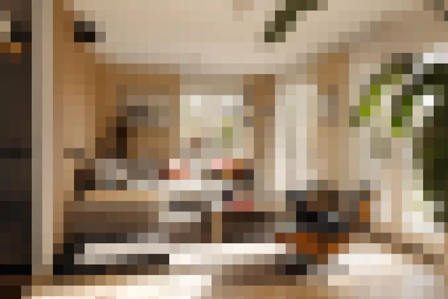 Lindewetering 26 Abcoude thumbnail 12