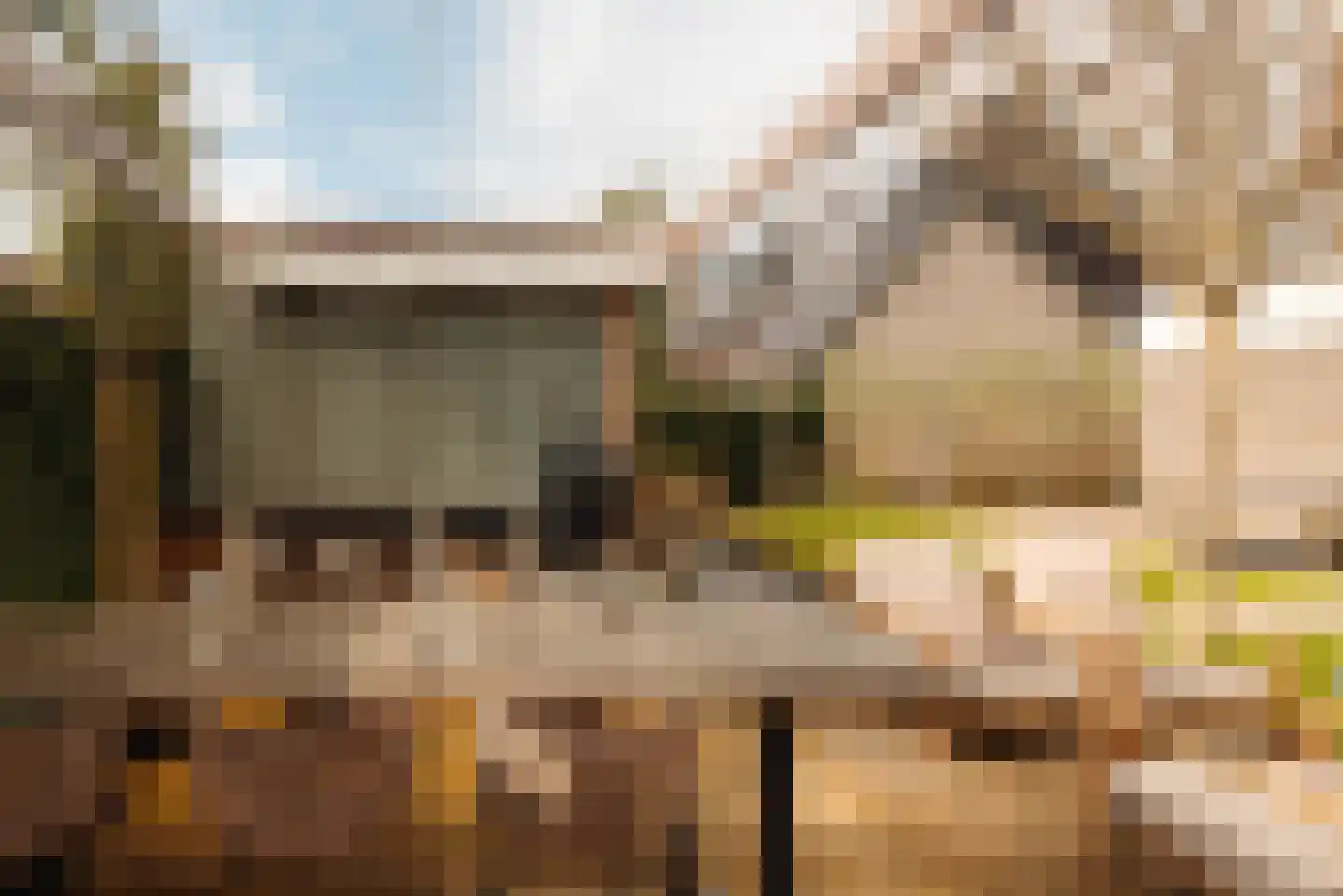Lindewetering 26 Abcoude thumbnail 14