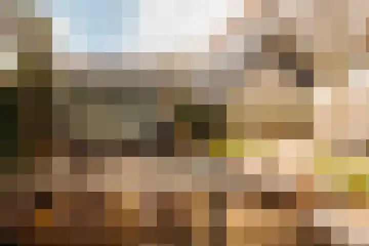 Lindewetering 26 Abcoude thumbnail 14
