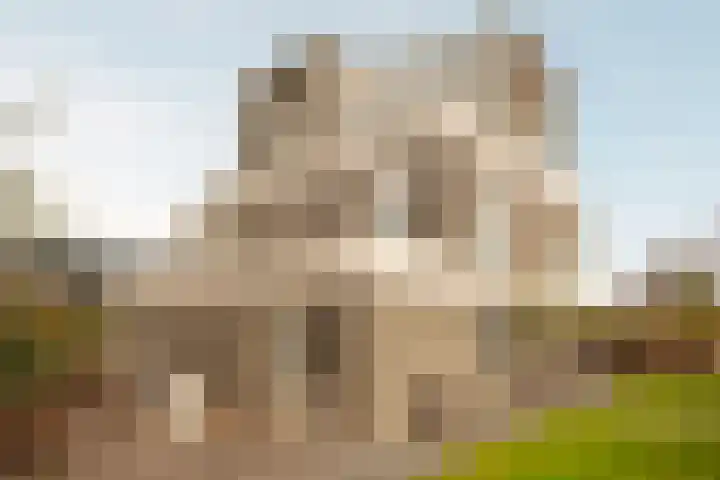 Lindewetering 26 Abcoude thumbnail 15