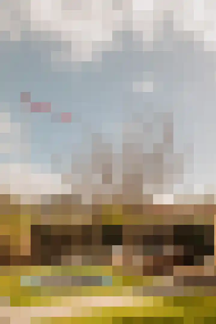 Lindewetering 26 Abcoude thumbnail 17
