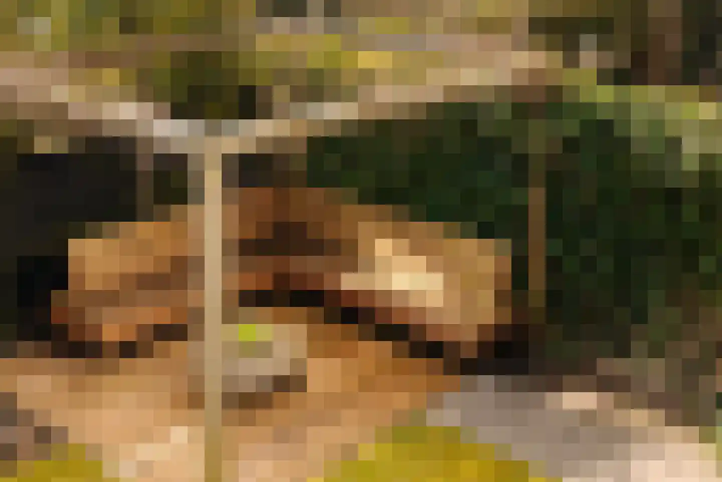 Lindewetering 26 Abcoude thumbnail 18